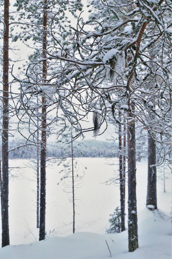 Villa Konttaisenranta รูกา ภายนอก รูปภาพ